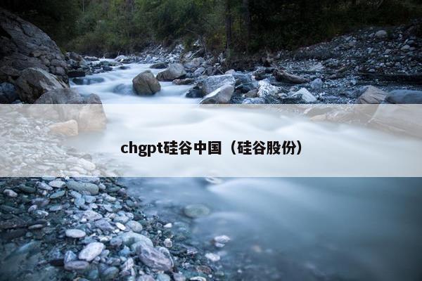 chgpt硅谷中国（硅谷股份）