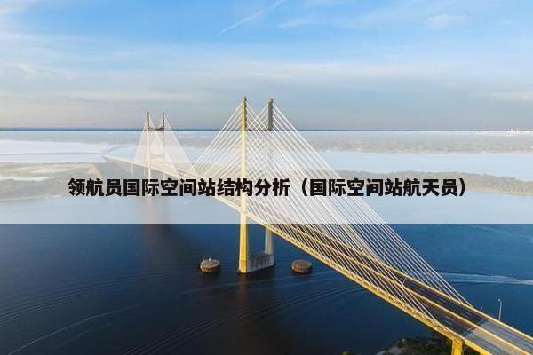 领航员国际空间站结构分析（国际空间站航天员）