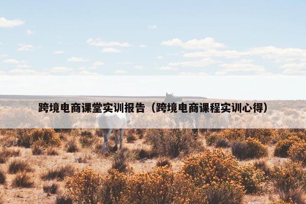 跨境电商课堂实训报告（跨境电商课程实训心得）