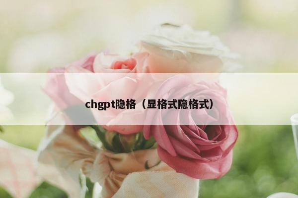 chgpt隐格（显格式隐格式）