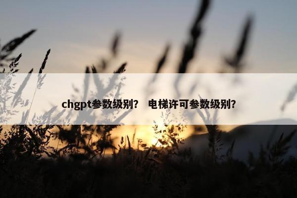 chgpt参数级别？ 电梯许可参数级别？