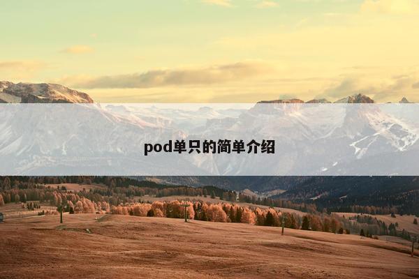 pod单只的简单介绍