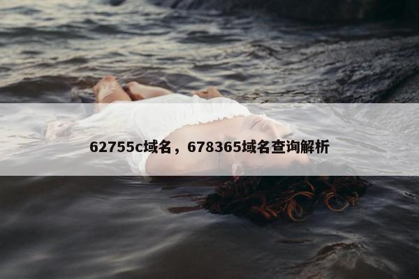 62755c域名，678365域名查询解析