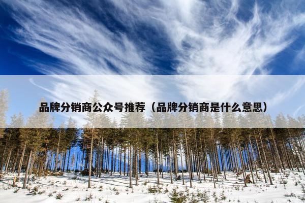 品牌分销商公众号推荐（品牌分销商是什么意思）