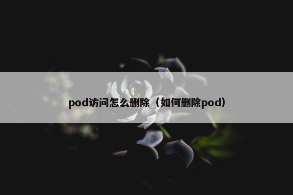 pod访问怎么删除（如何删除pod）