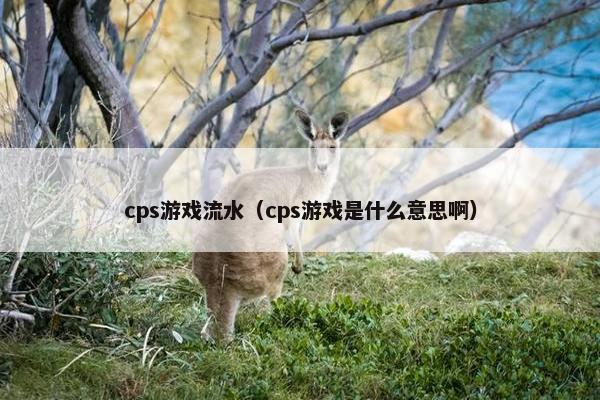 cps游戏流水（cps游戏是什么意思啊）