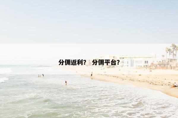分佣返利？ 分佣平台？