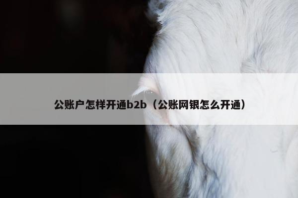 公账户怎样开通b2b（公账网银怎么开通）