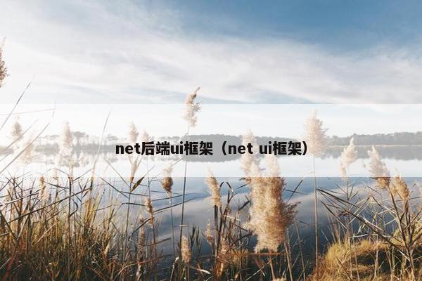 net后端ui框架（net ui框架）