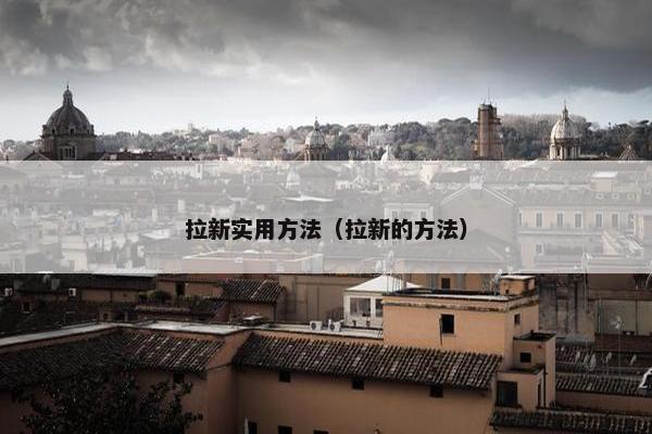 拉新实用方法（拉新的方法）