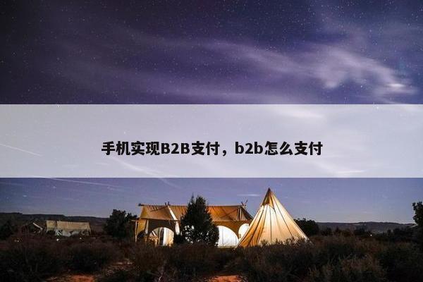 手机实现B2B支付，b2b怎么支付