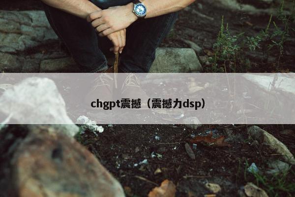 chgpt震撼（震撼力dsp）