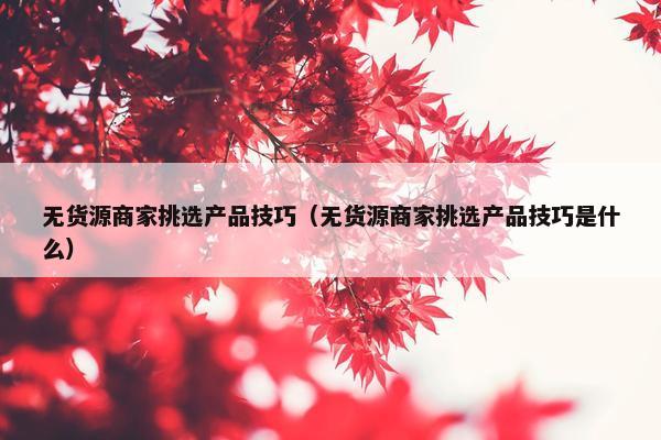 无货源商家挑选产品技巧（无货源商家挑选产品技巧是什么）