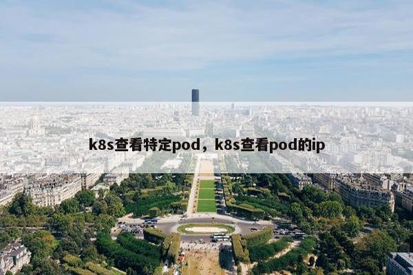 k8s查看特定pod，k8s查看pod的ip