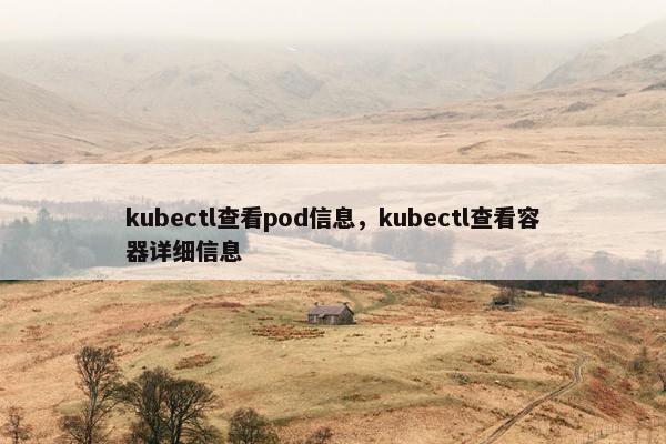 kubectl查看pod信息，kubectl查看容器详细信息
