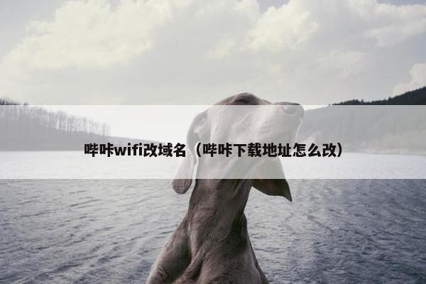 哔咔wifi改域名（哔咔下载地址怎么改）