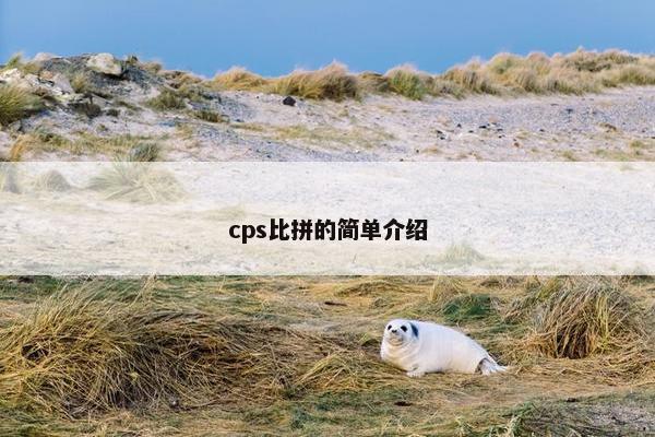 cps比拼的简单介绍