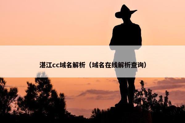 湛江cc域名解析(域名在线解析查询)