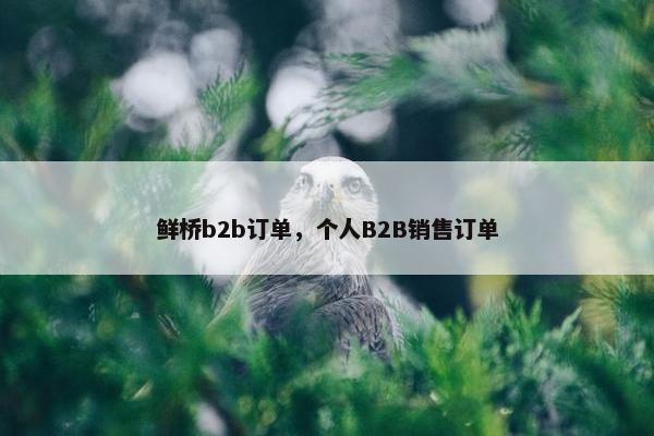 鲜桥b2b订单,个人B2B销售订单