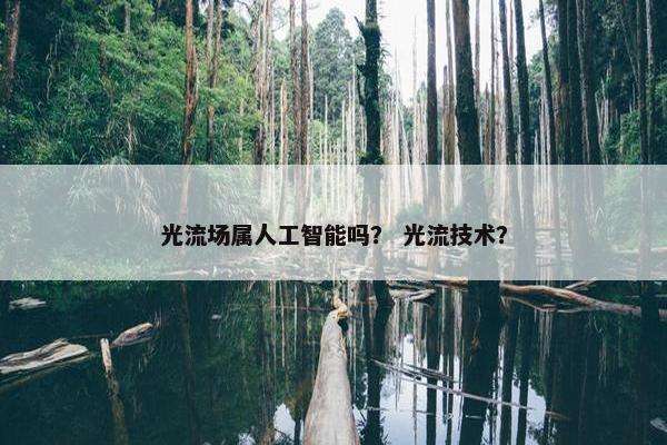 光流场属人工智能吗？ 光流技术？