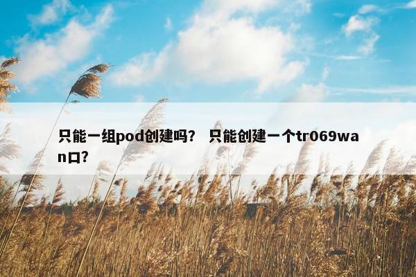 只能一组pod创建吗? 只能创建一个tr069wan口?