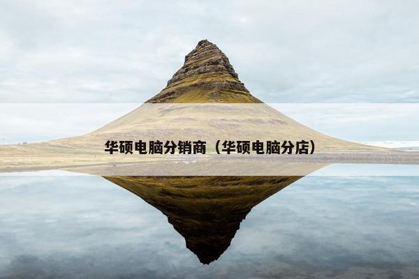 华硕电脑分销商（华硕电脑分店）