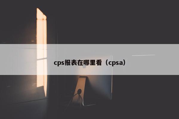 cps报表在哪里看（cpsa）