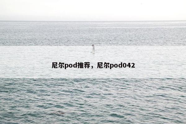 尼尔pod推荐，尼尔pod042