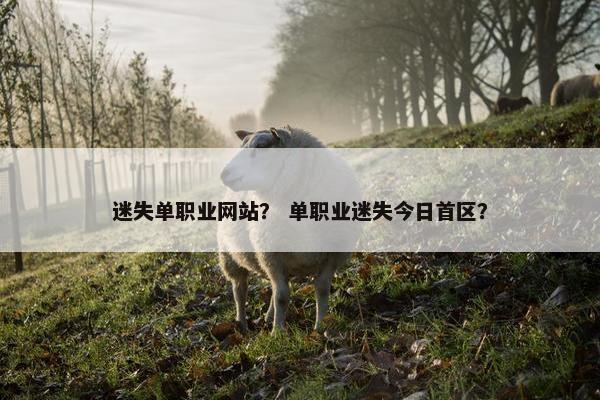 迷失单职业网站? 单职业迷失今日首区?