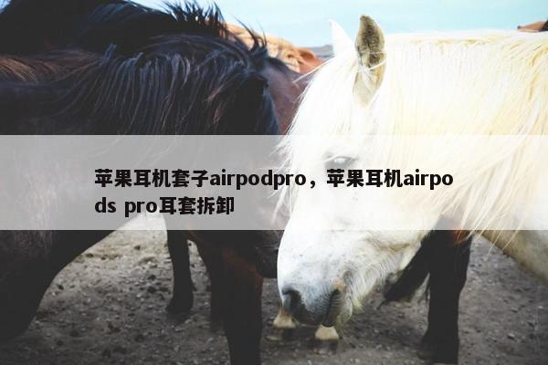 苹果耳机套子airpodpro，苹果耳机airpods pro耳套拆卸
