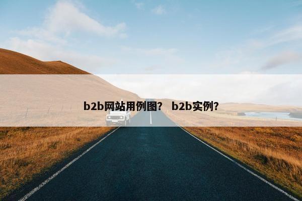 b2b网站用例图? b2b实例?