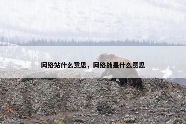 网络站什么意思,网络战是什么意思