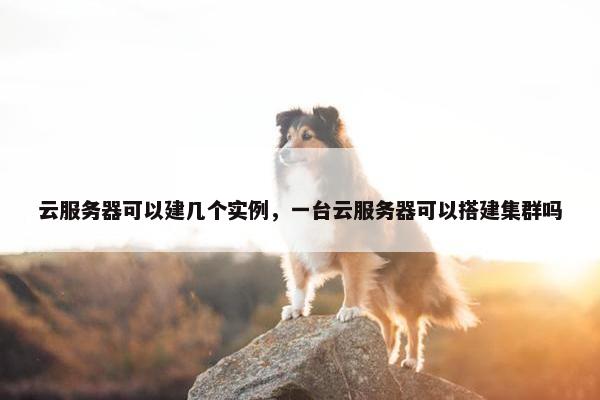 云服务器可以建几个实例，一台云服务器可以搭建集群吗
