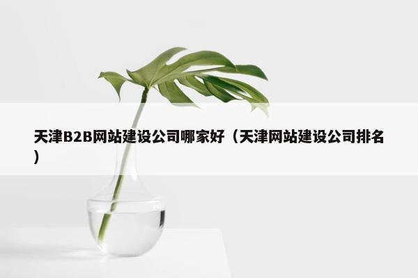 天津B2B网站建设公司哪家好（天津网站建设公司排名）