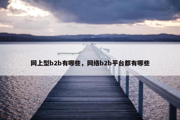 网上型b2b有哪些，网络b2b平台都有哪些