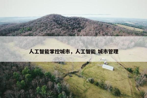 人工智能掌控城市，人工智能 城市管理