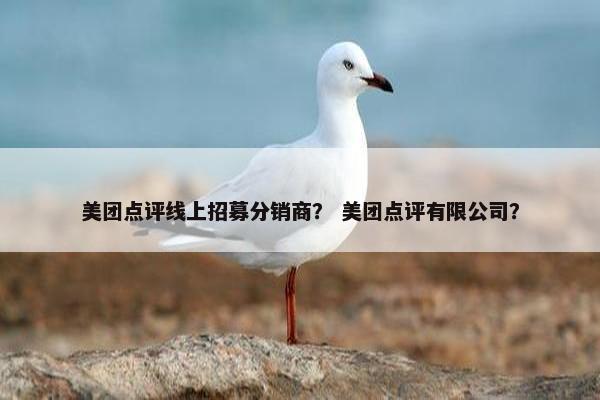 美团点评线上招募分销商？ 美团点评有限公司？