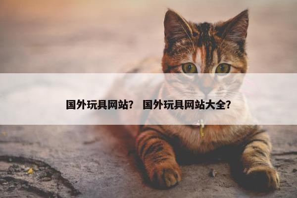国外玩具网站? 国外玩具网站大全?