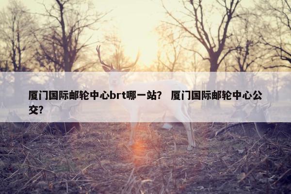 厦门国际邮轮中心brt哪一站？ 厦门国际邮轮中心公交？