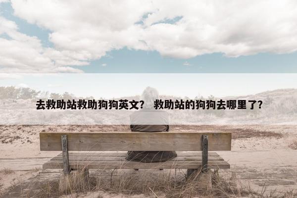 去救助站救助狗狗英文？ 救助站的狗狗去哪里了？