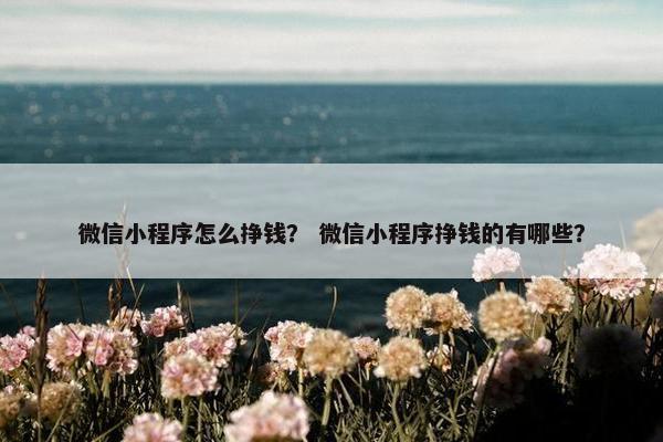 微信小程序怎么挣钱？ 微信小程序挣钱的有哪些？