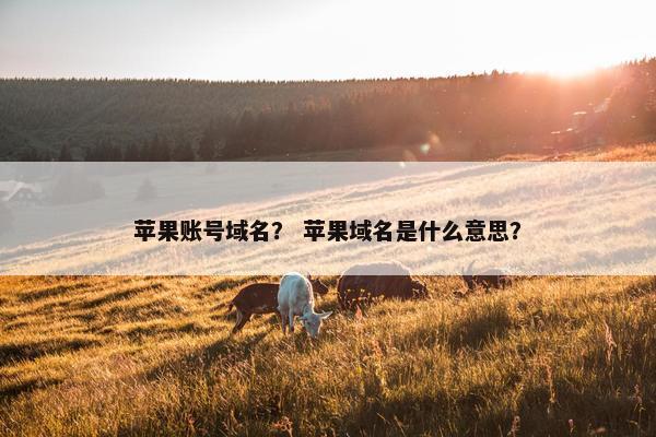 苹果账号域名？ 苹果域名是什么意思？