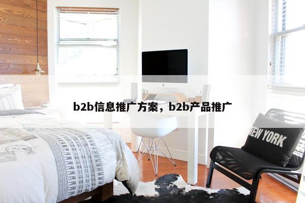 b2b信息推广方案，b2b产品推广