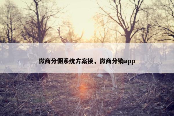 微商分佣系统方案接，微商分销app