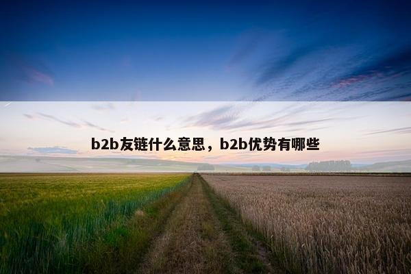 b2b友链什么意思，b2b优势有哪些