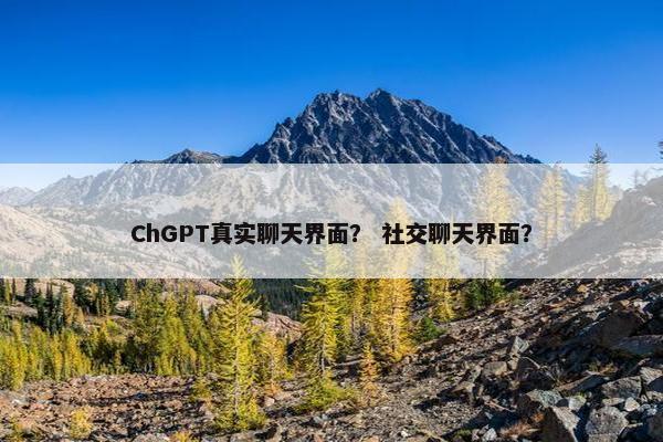ChGPT真实聊天界面? 社交聊天界面?