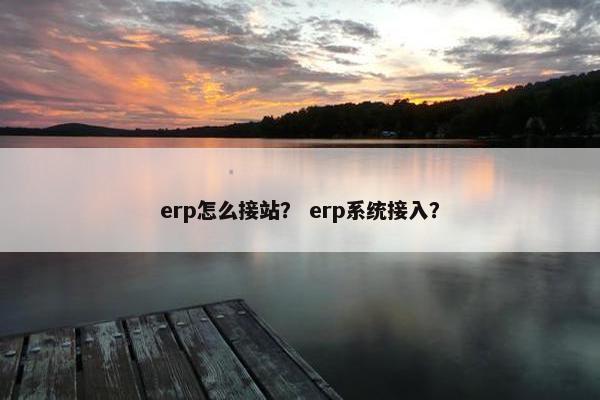 erp怎么接站？ erp系统接入？