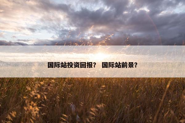 国际站投资回报? 国际站前景?