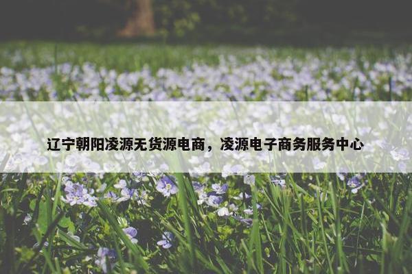 辽宁朝阳凌源无货源电商,凌源电子商务服务中心 辽宁朝阳凌源无货源电商,凌源电子商务服务中心