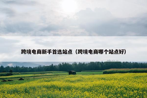 跨境电商新手首选站点(跨境电商哪个站点好)